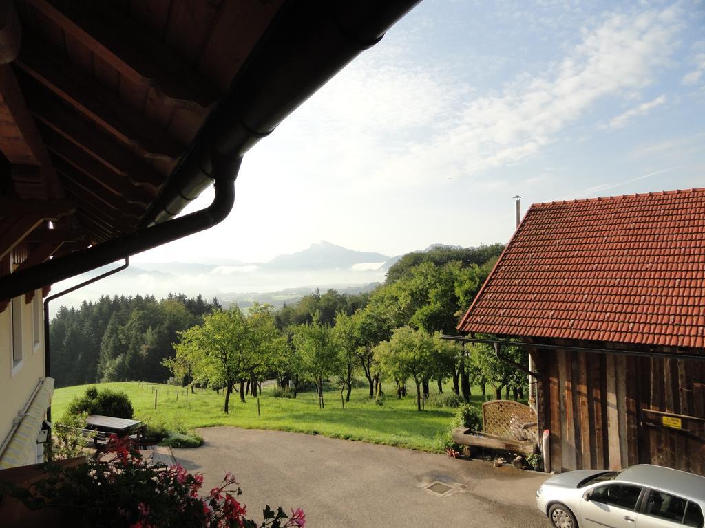 Hochsernerhof Hotel Tiefgraben Room photo