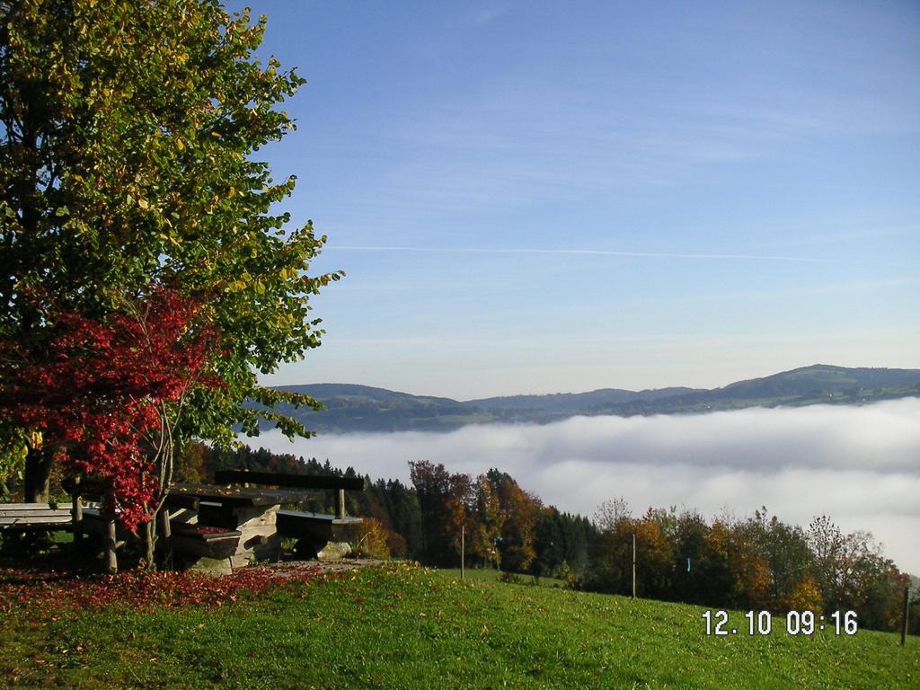 Hochsernerhof Hotel Tiefgraben Exterior photo